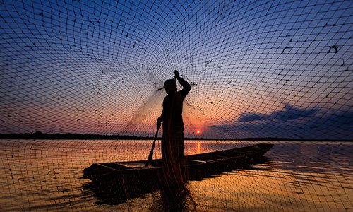 Balapitiya’s Fishing Tales